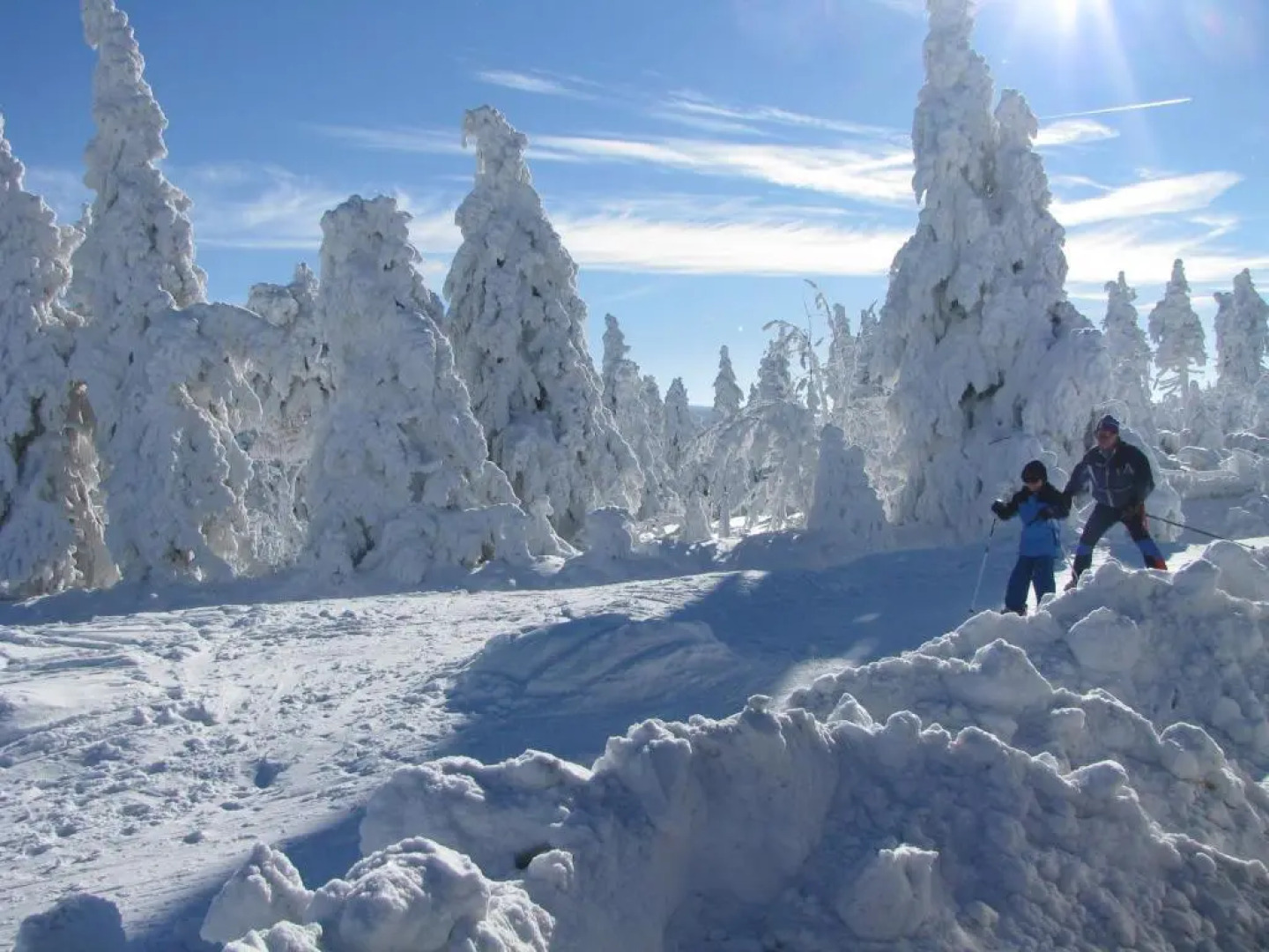 Apartments - Lehmanns Ferienwohnungen