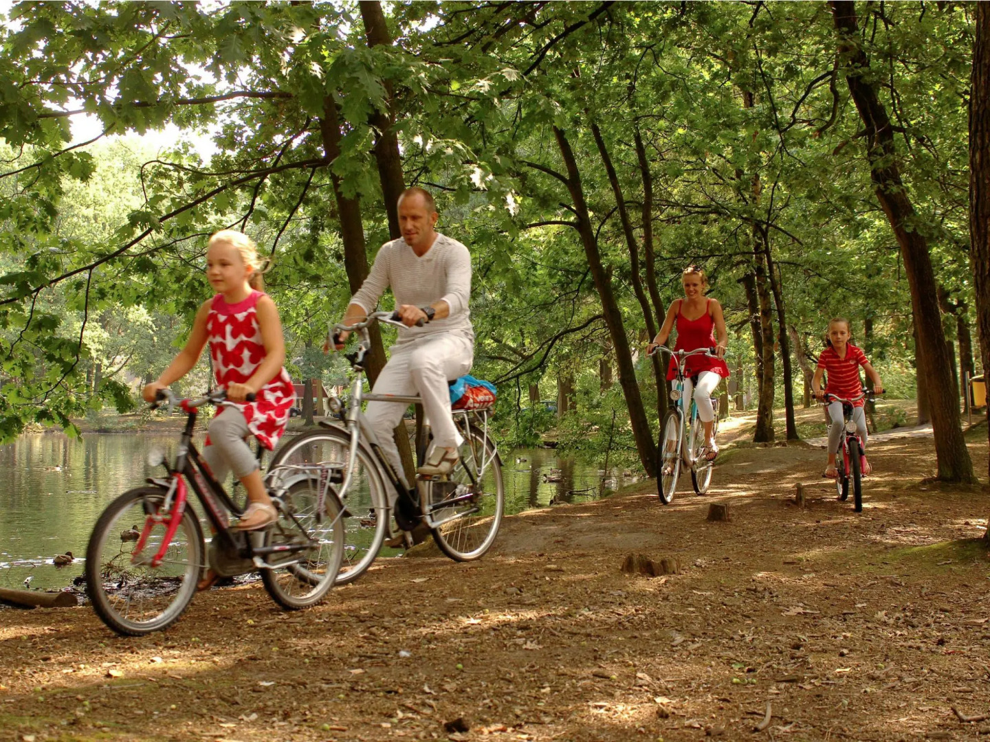 Modern Lodge With Dishwasher, Near Helmond