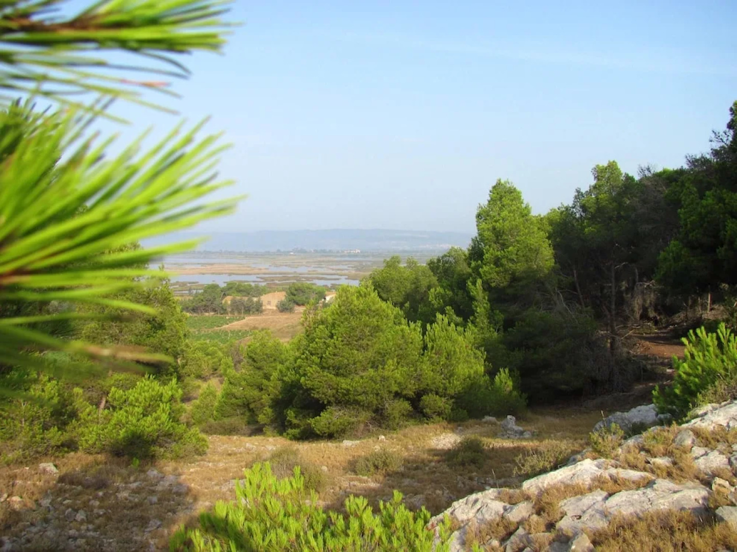 Apartment With one Bedroom in Gruissan, With Shared Pool and Furnished Balcony - 500 m From the Beach