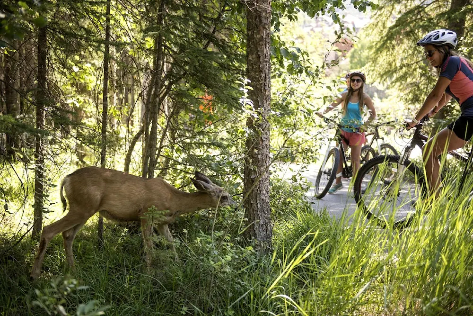 Pine Inn at Panorama Mountain Village