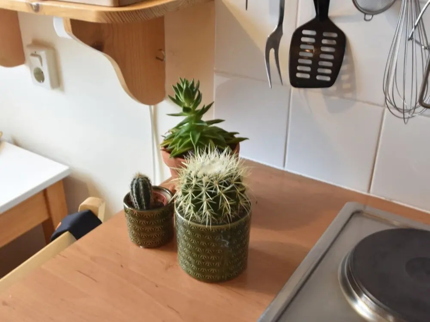 Unique Studio on Large Estate With sea View