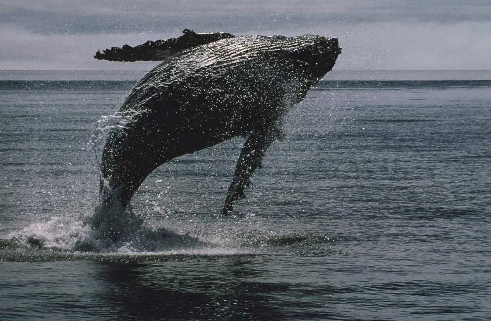 Hampton Inn & Suites Cape Cod-West Yarmouth