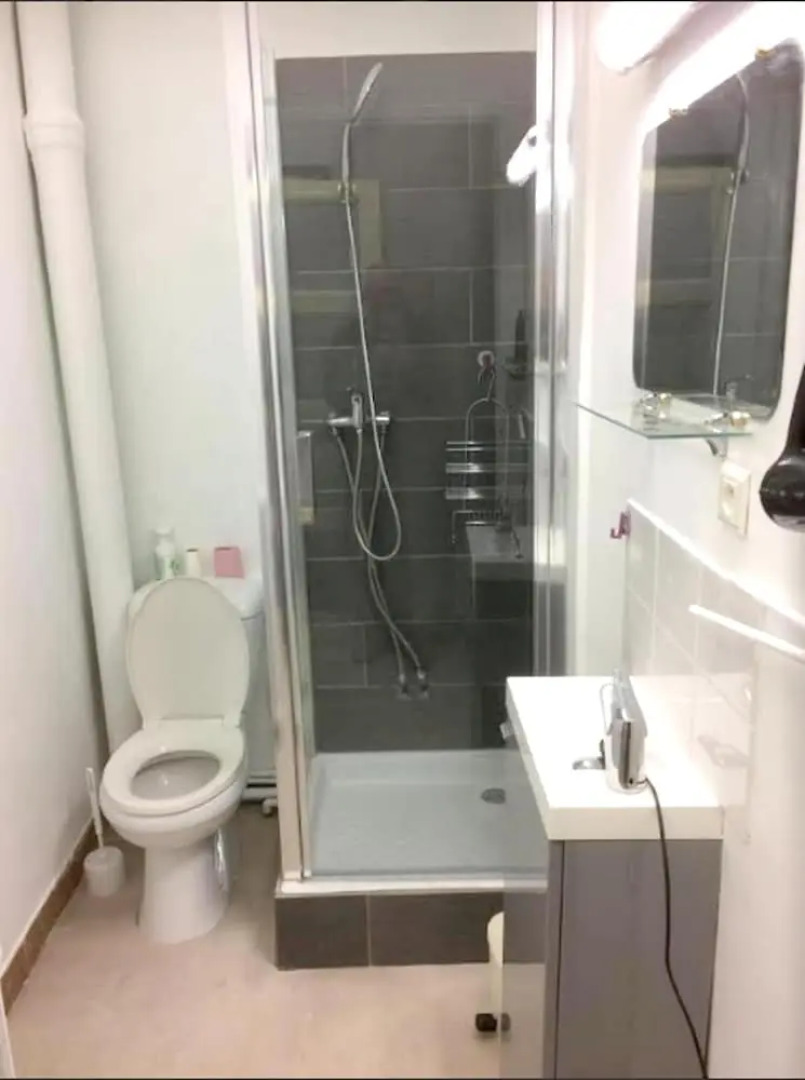 Studio In Vichy With Furnished Garden