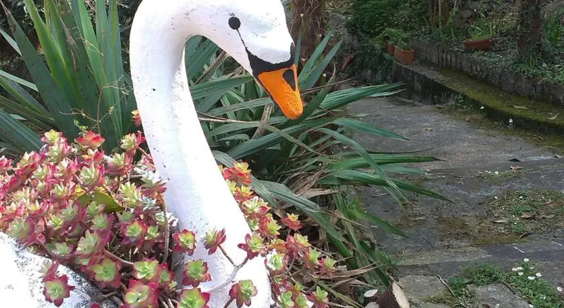 Appartamento I Girasoli di Agatha