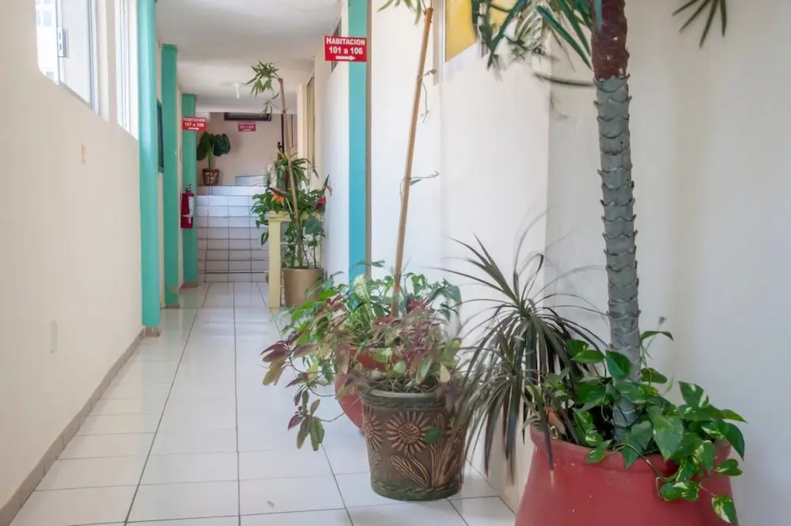 Hotel y Suites Continental