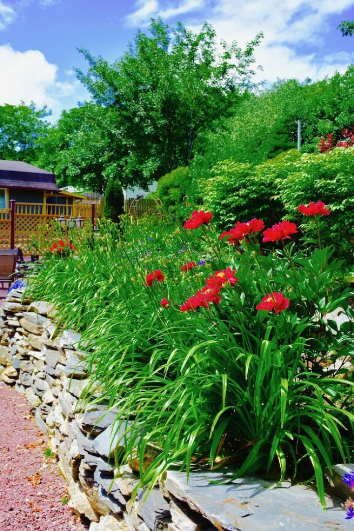 Rose Manor Inn B & B