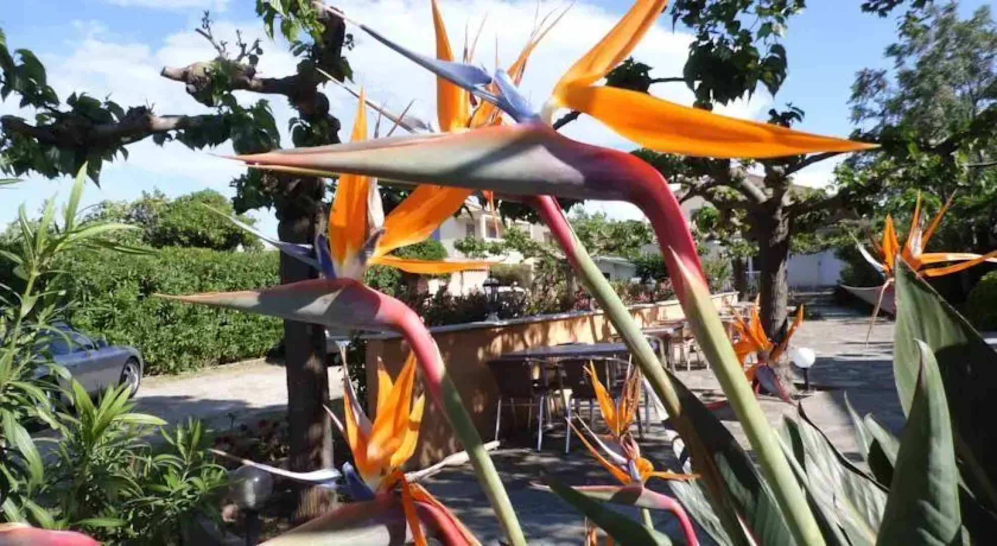 Appartements U Libecciu