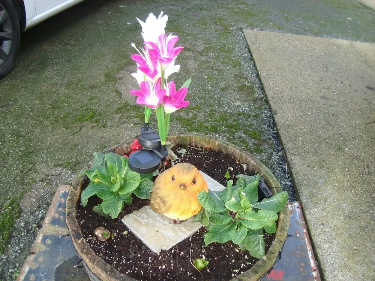 The Farmhouse Lochmeyler