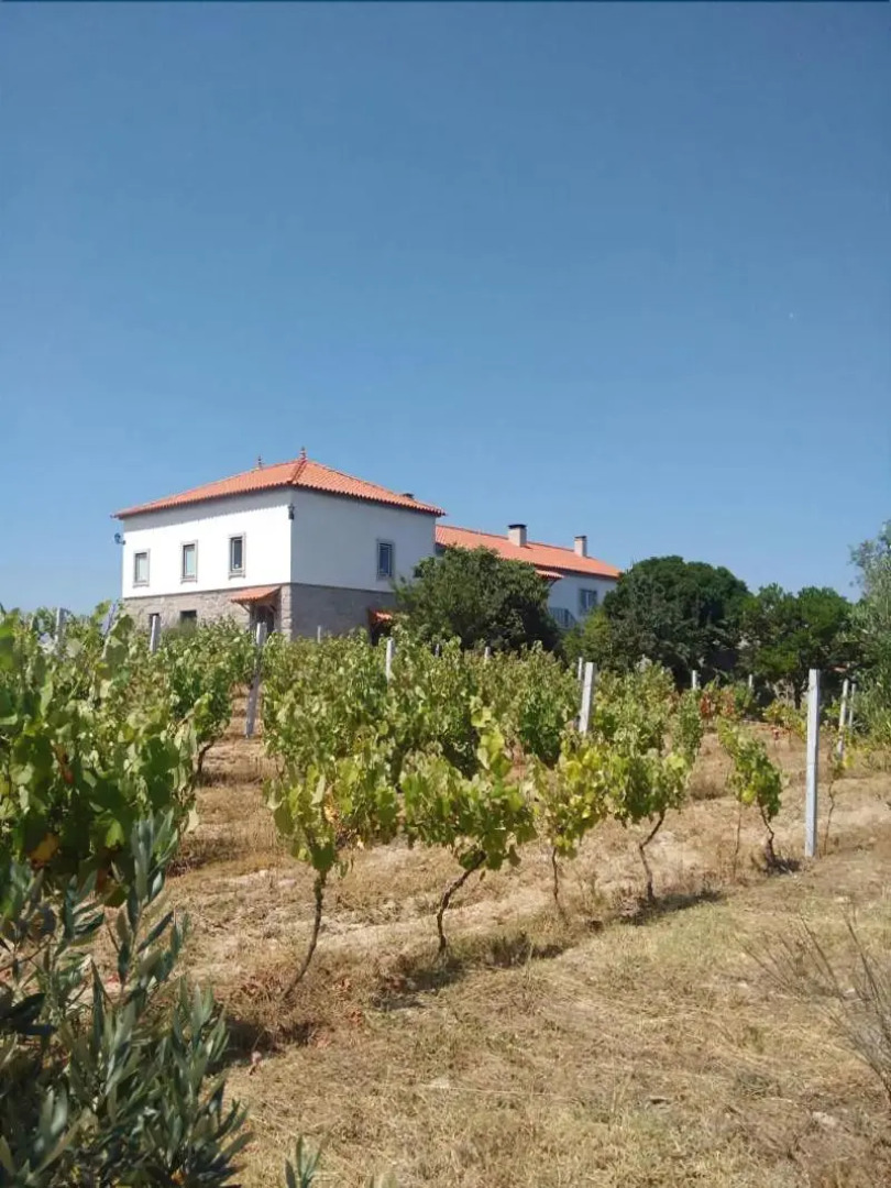 Quinta de Vodra