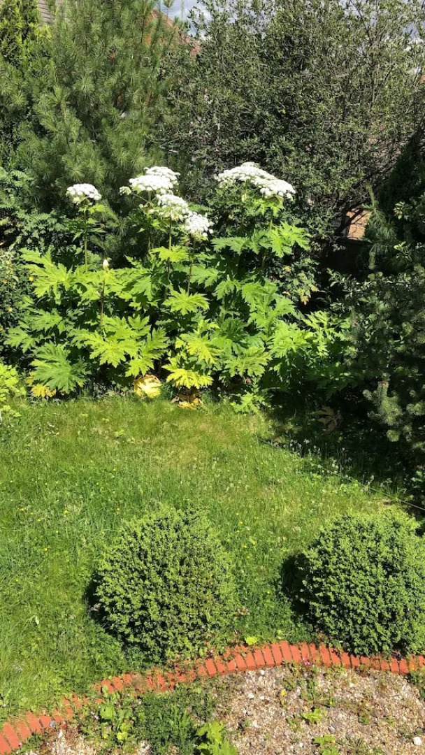 Serviced Luxury Accommodation