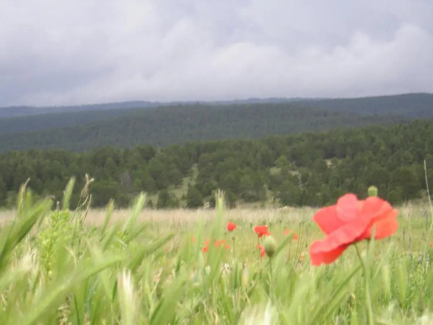 Apartamento Naturaleza
