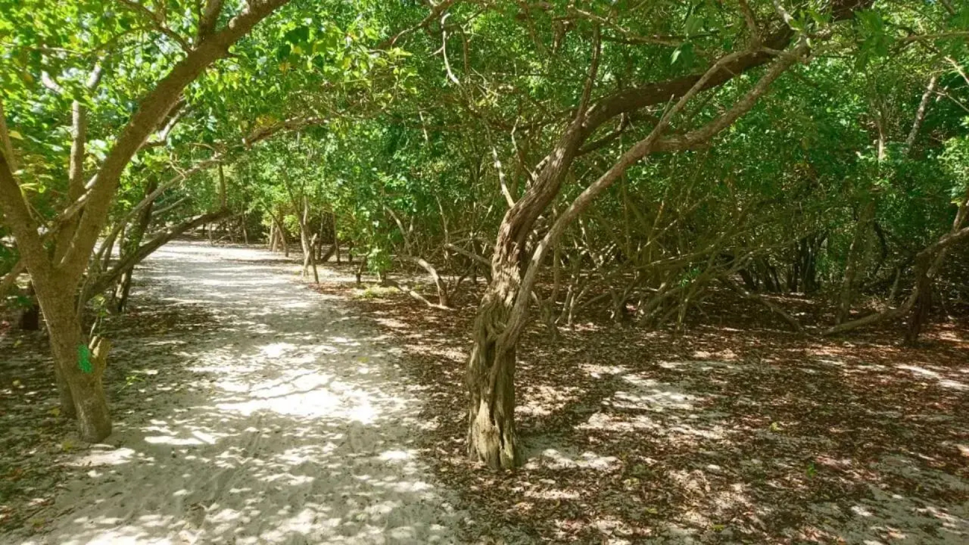 Résidence Oncle Sam