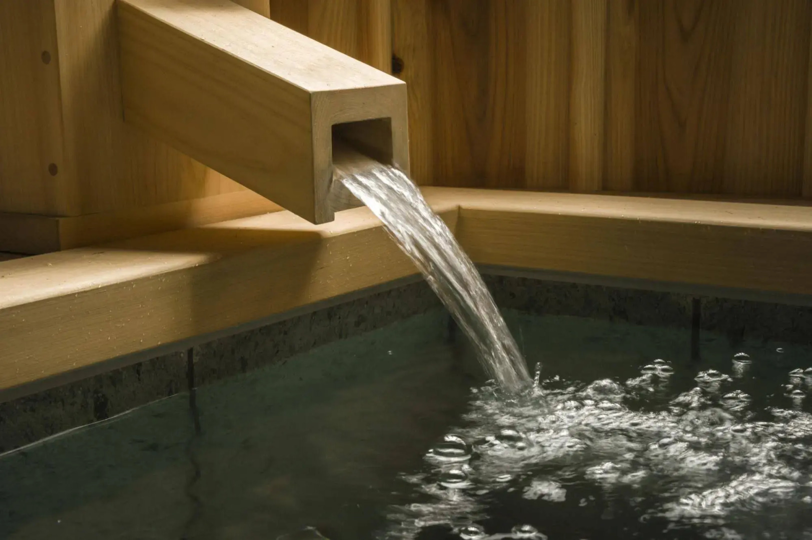 Fujisan Onsen Bessho SASA