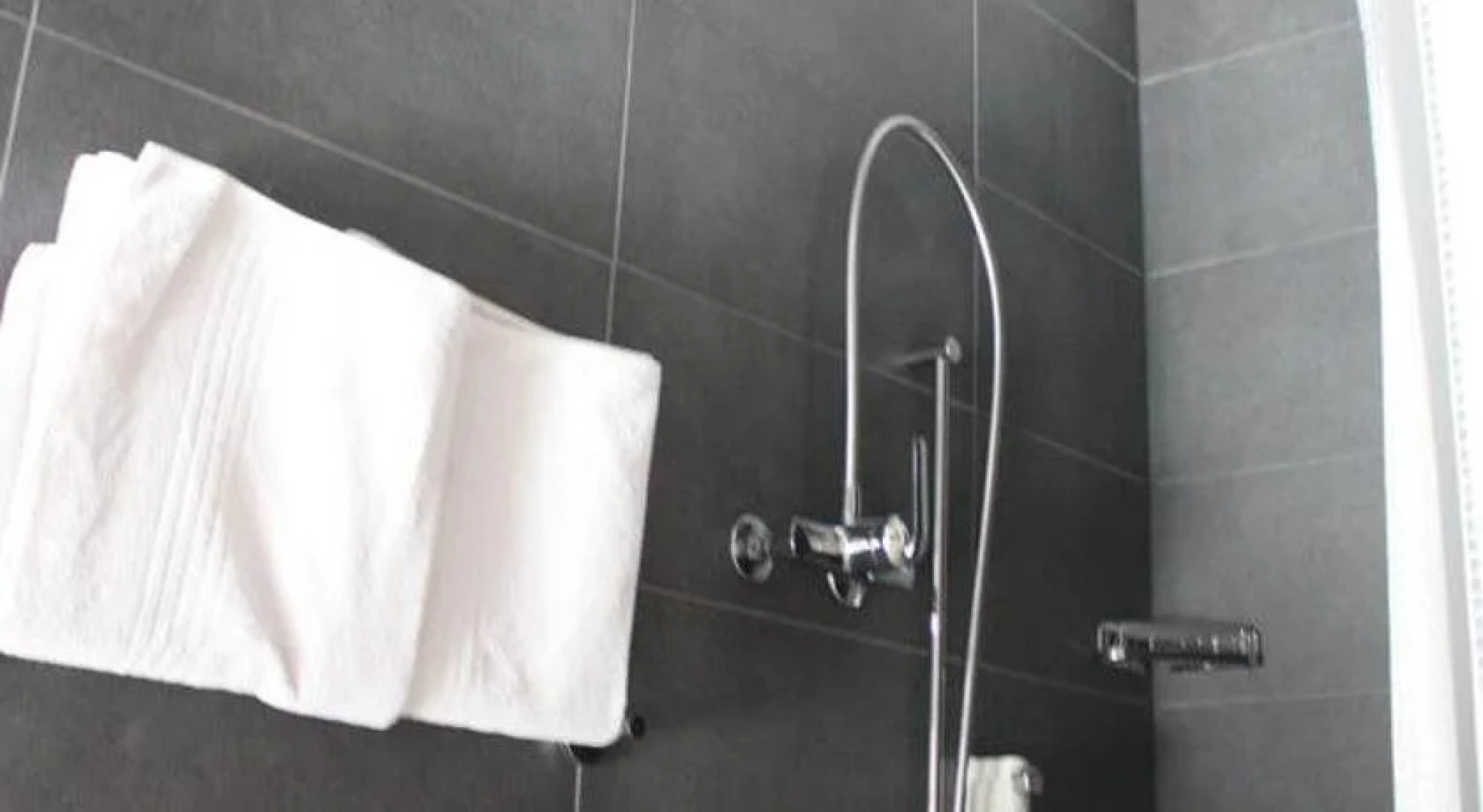 Hotel Restaurant Koi-Gartenteich