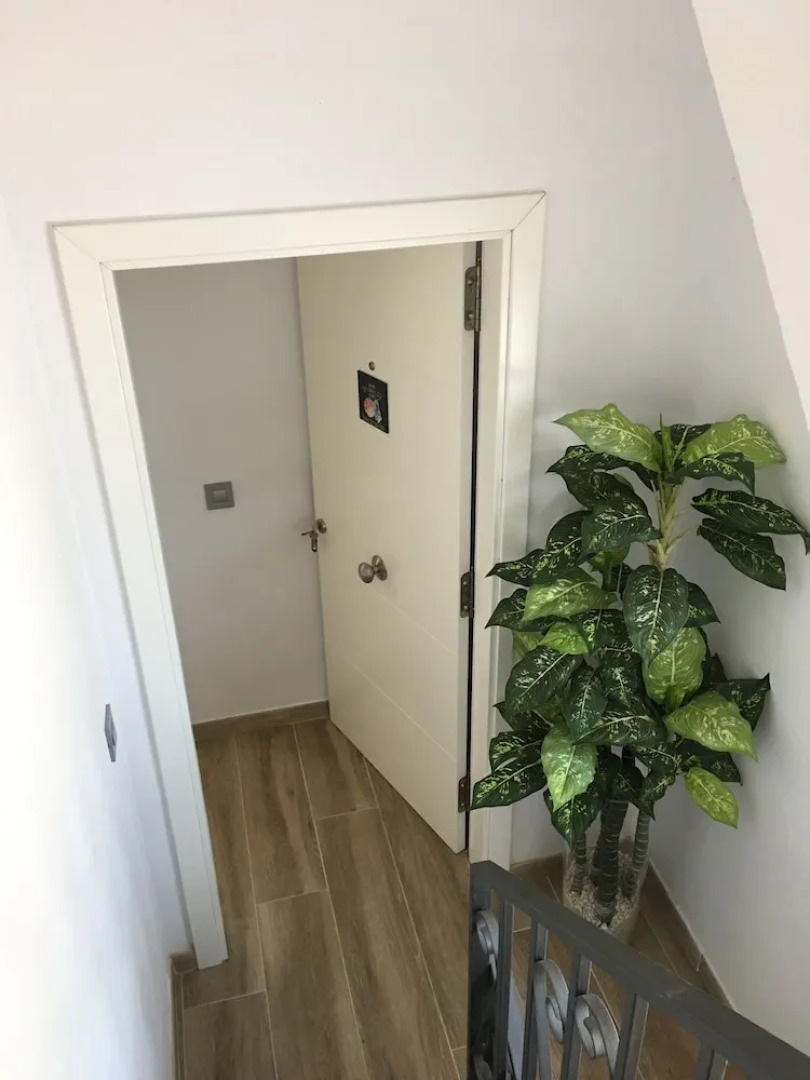 Aromas en Fontanales