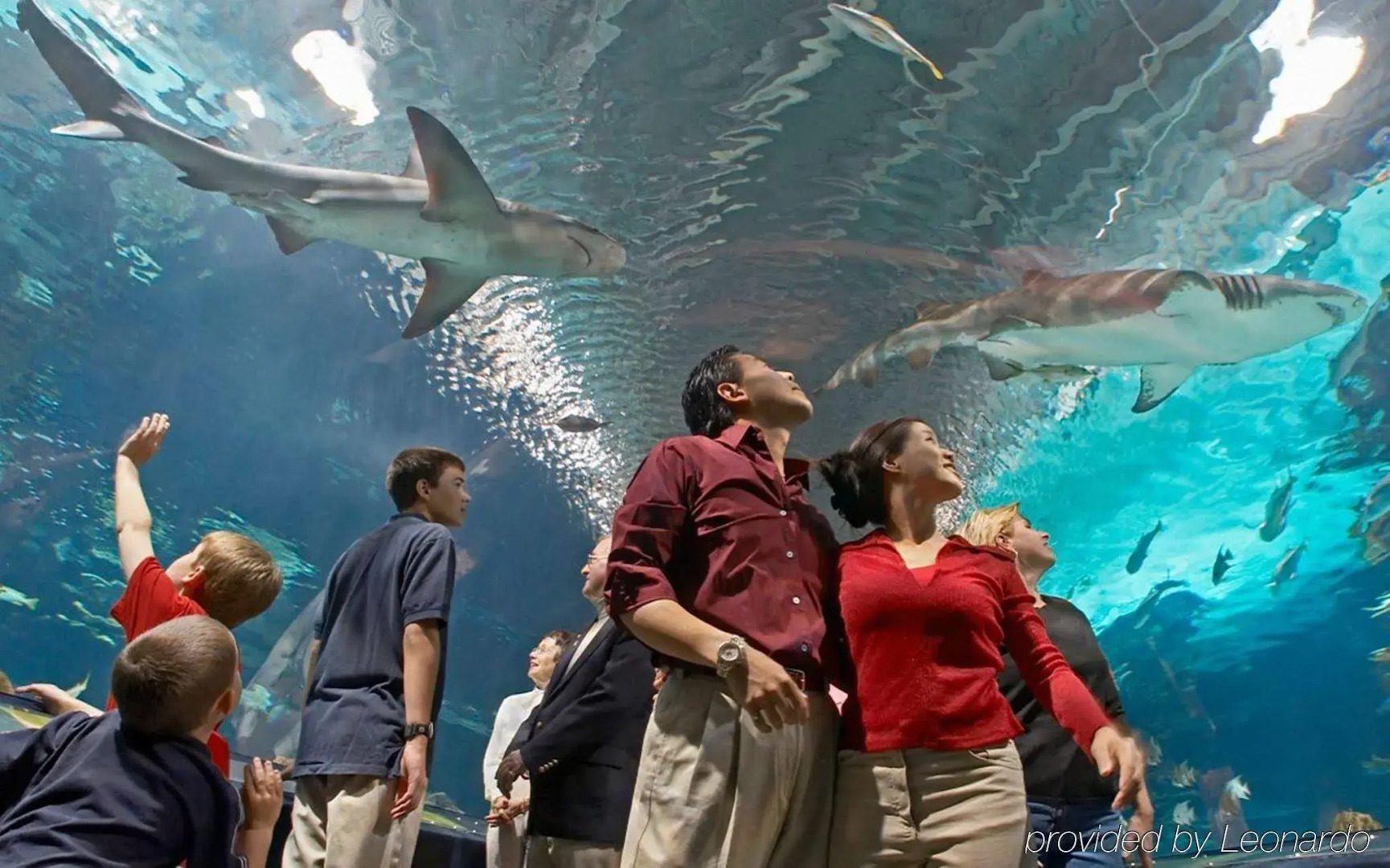 Quality Inn I-75 West Chester-North Cincinnati