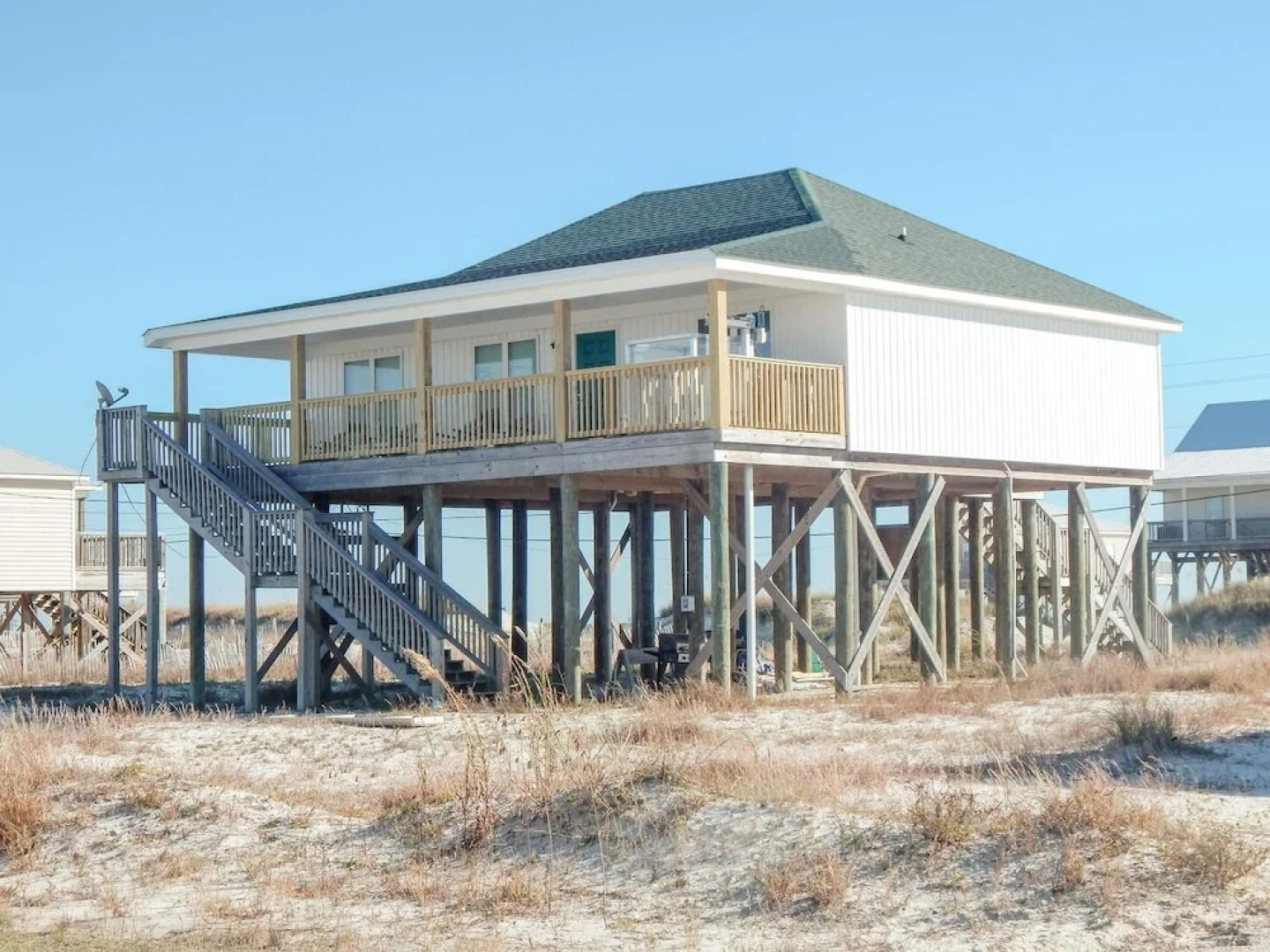 008 Sea Horsin Around