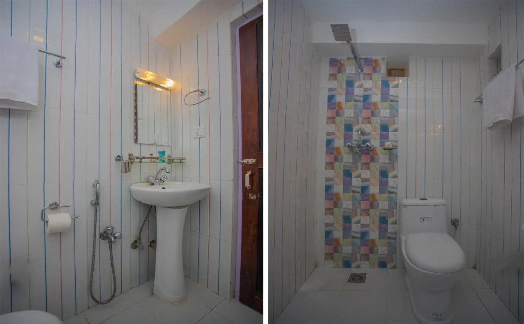 OYO 160 Hotel Shraddha Palace