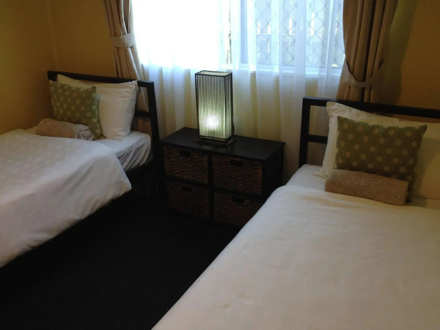 Coconut Palms on the Bay