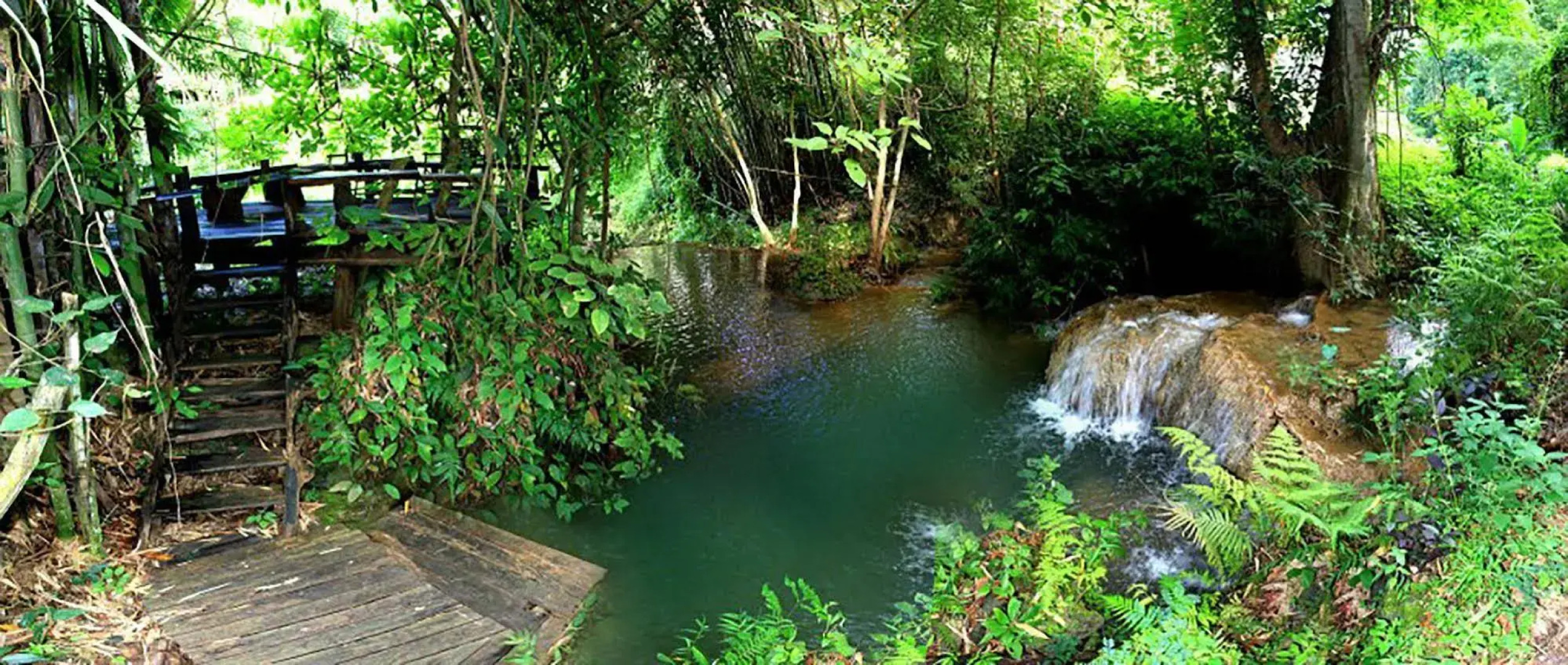 Rabeang Pasak Treehouse Resort