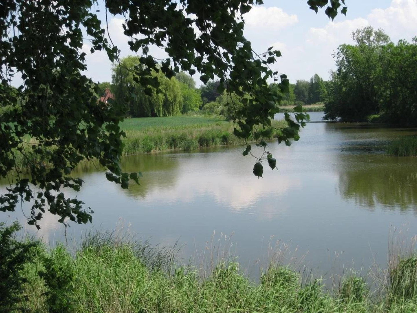 Bed and Breakfast De Bijenkorf