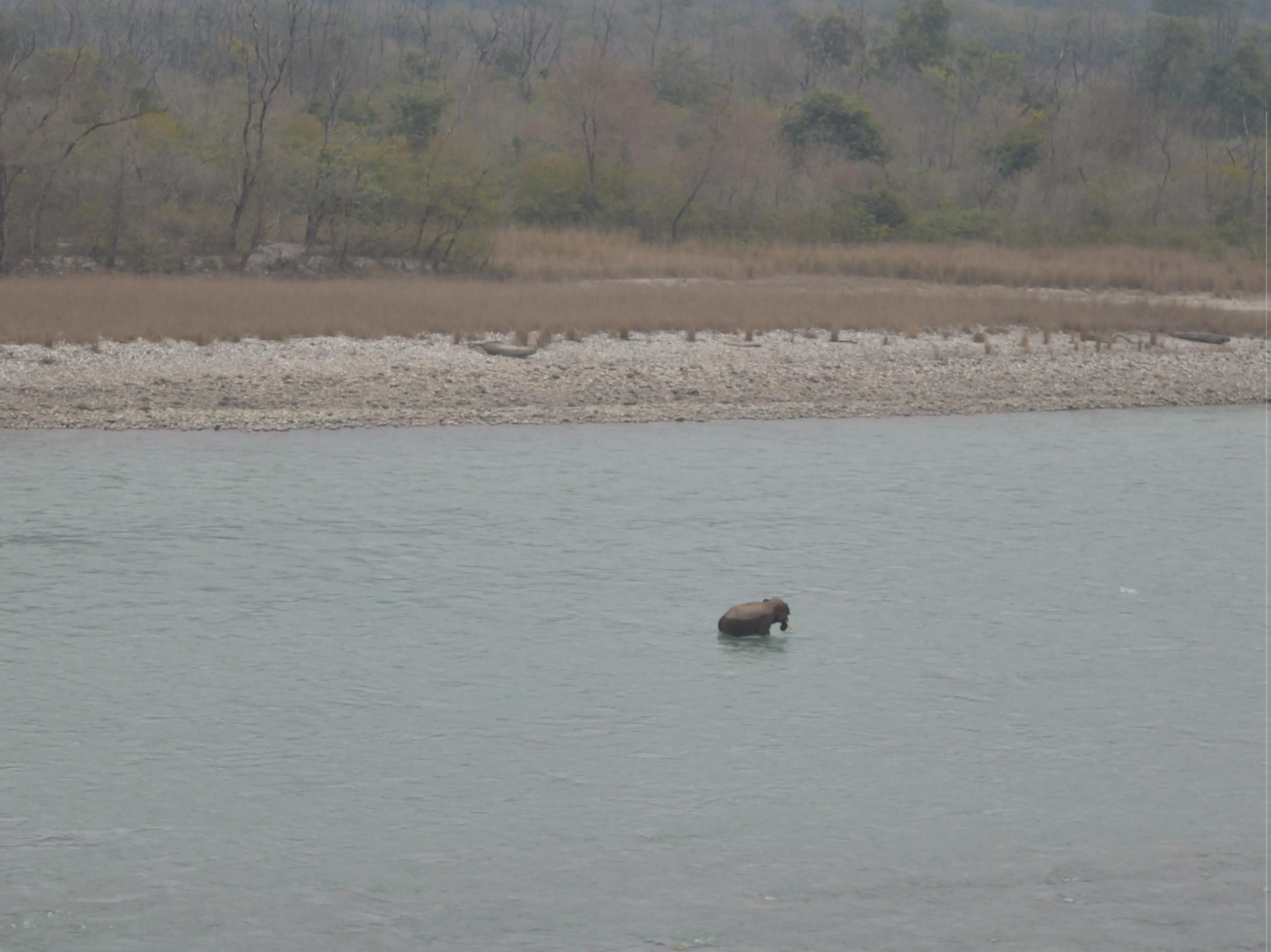 Soank Paradise - The Boutique Hotel