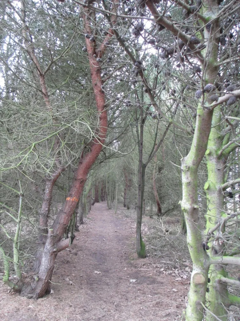 Edwin Haven Bed & Breakfast