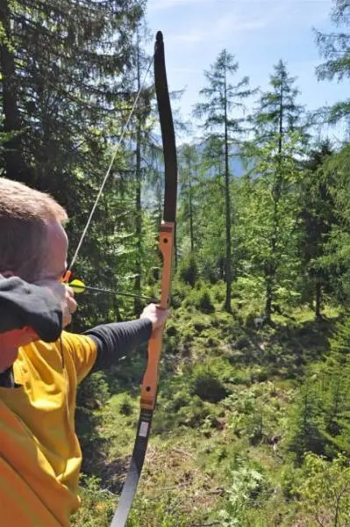 Hotel Alpen Residence