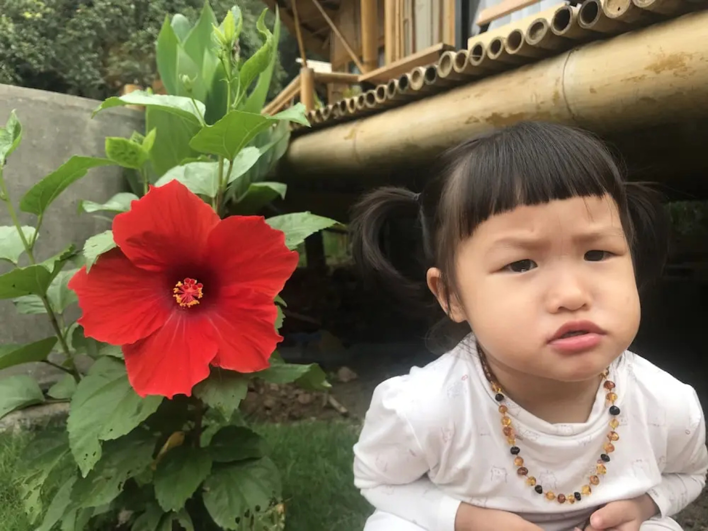 Trang An Lamia Bungalow