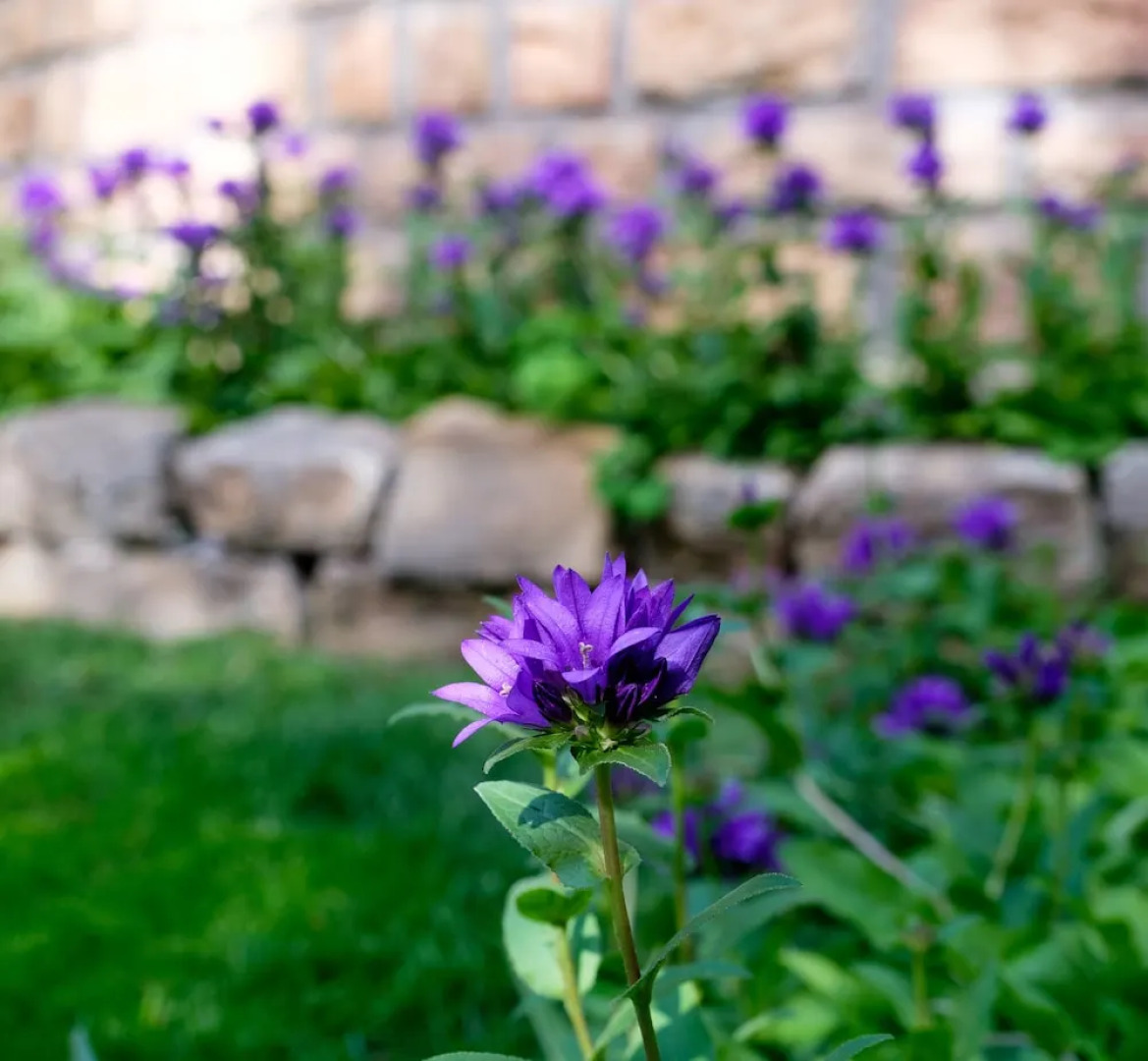Secret Garden Bed & Breakfast