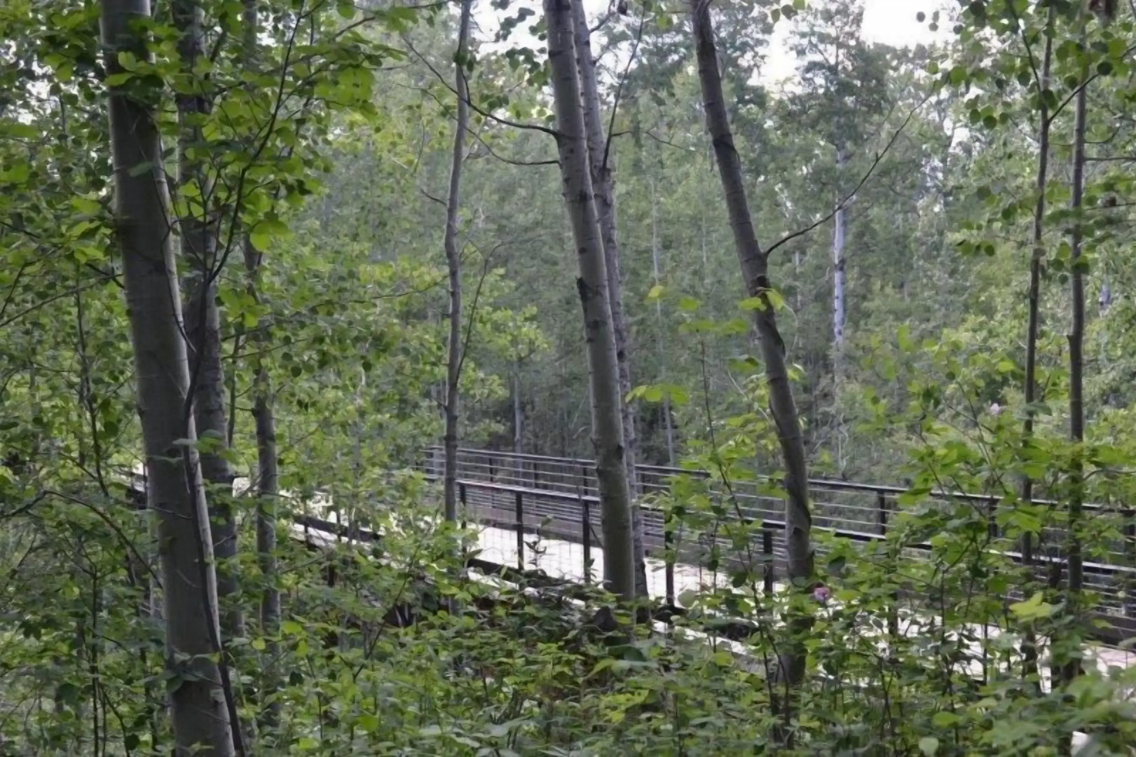 Village Creek Country Inn