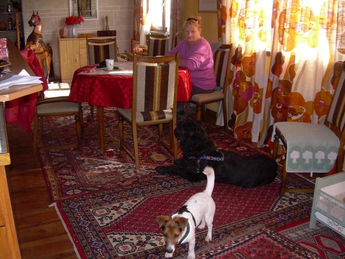 Wohlfühloase für Mensch und Hund