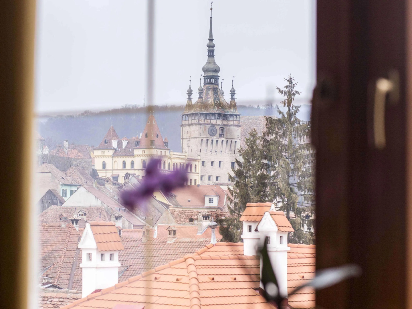 Mercure Sighisoara Binderbubi - Hotel & Spa