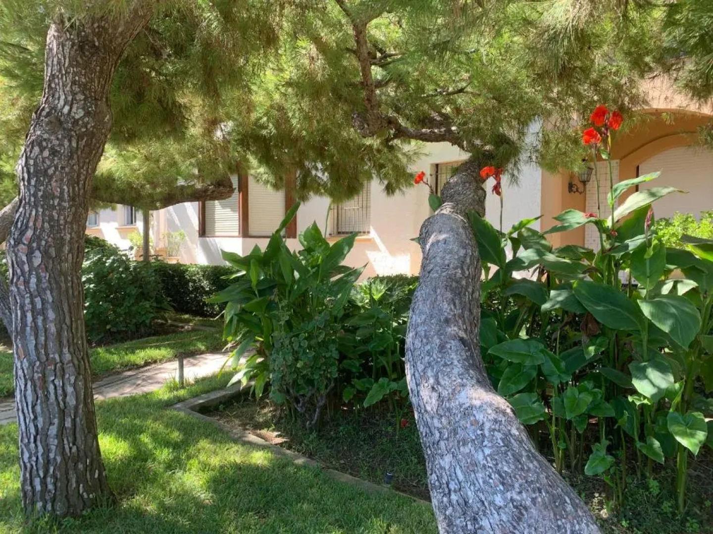 Roc de San Cayetano 14B