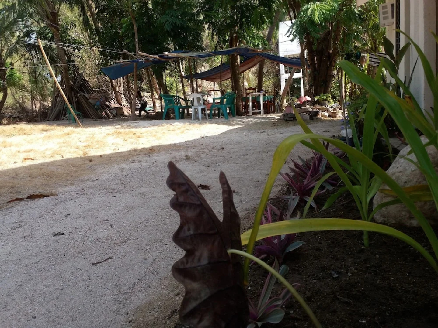 Peding's Place Resort