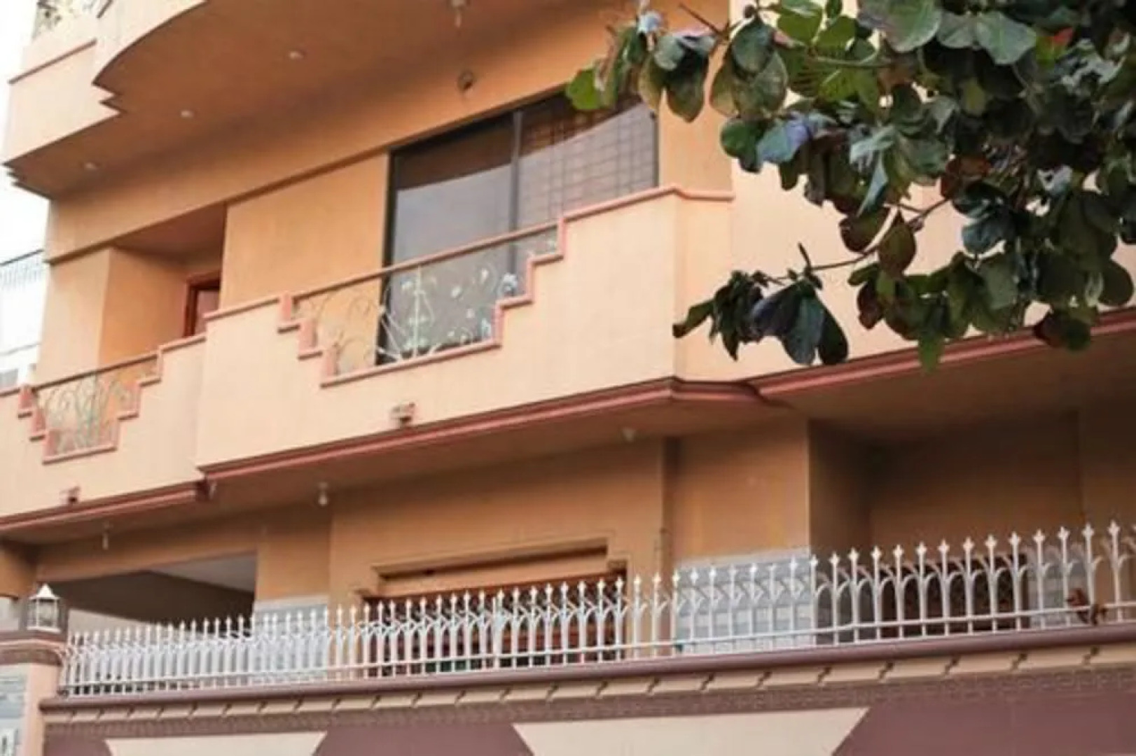 Elegant Palace Guest House