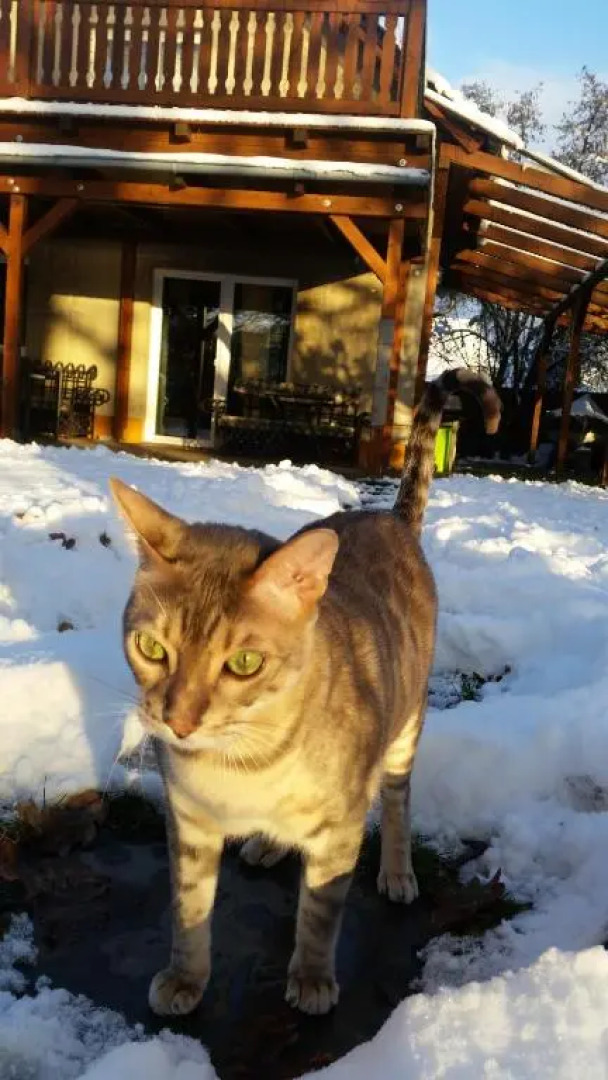 Jesenická přehrada, u vody