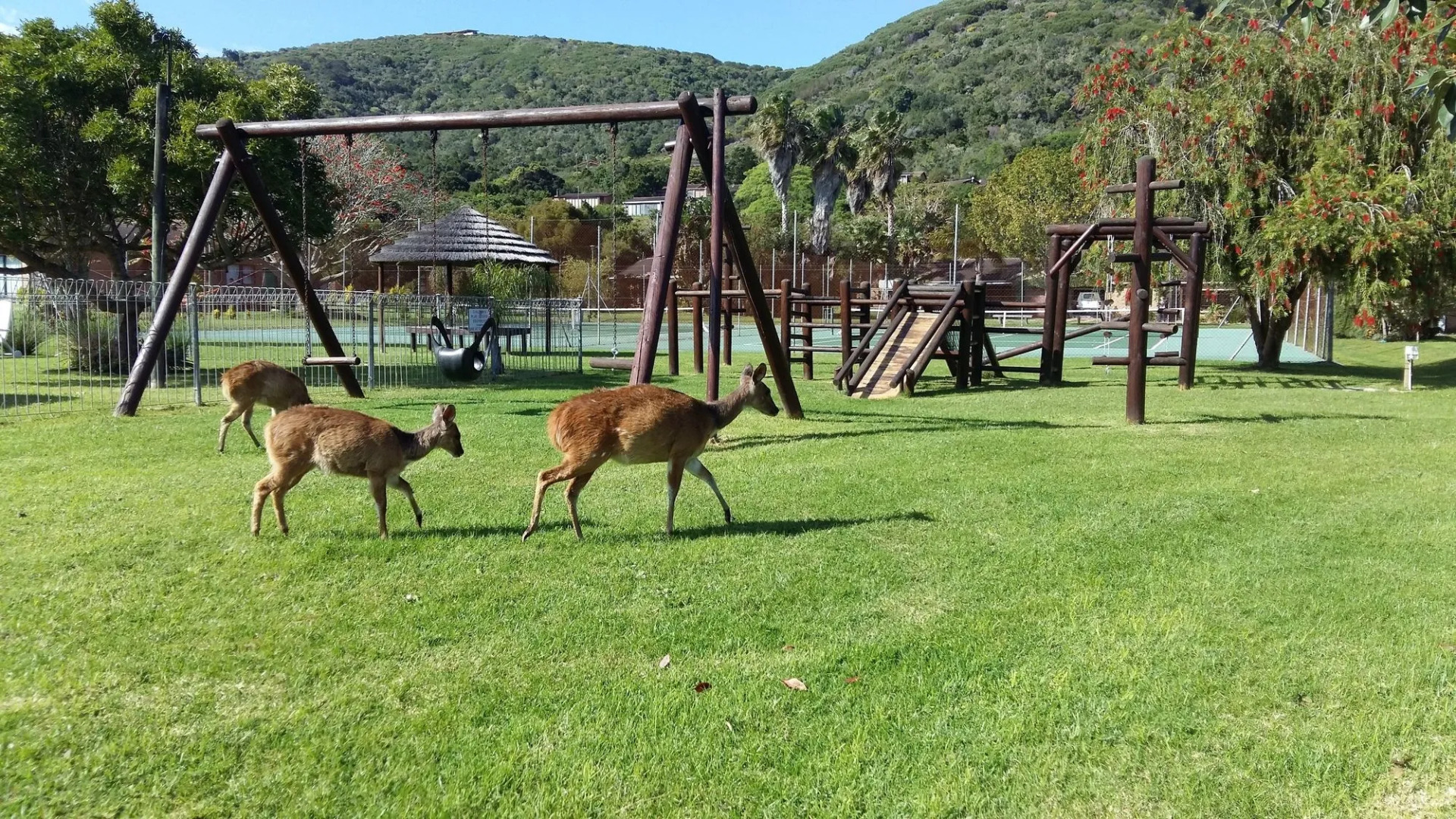 Brenton Park Holiday Cottages