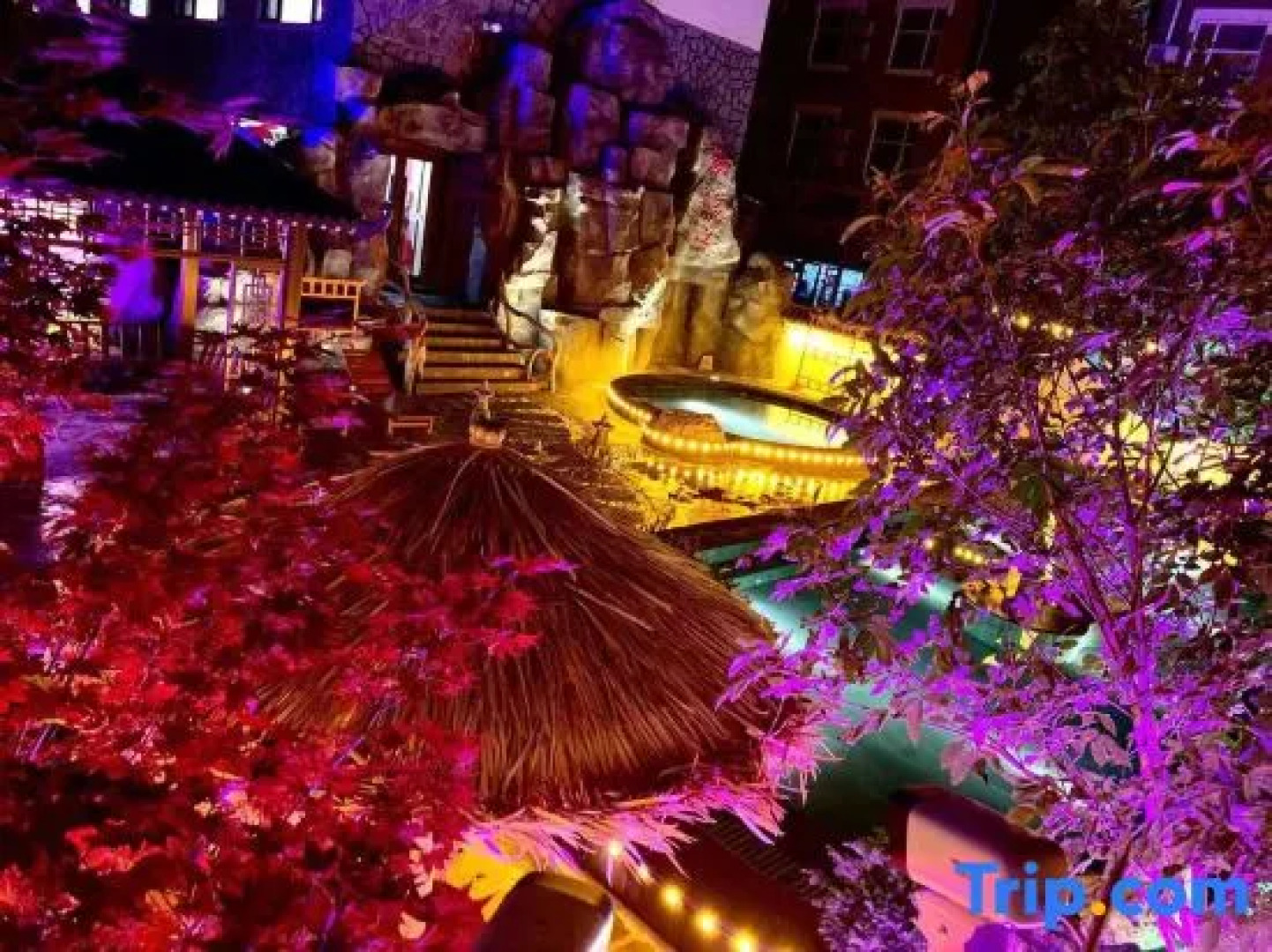 Royal Hot Spring Hotei