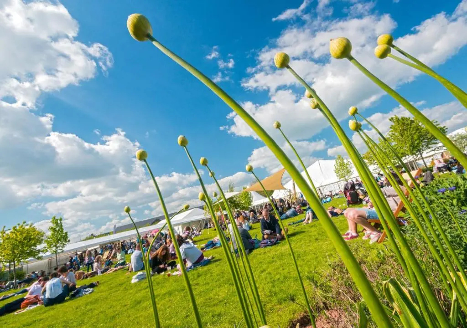 Creyr Glas - Heron 2