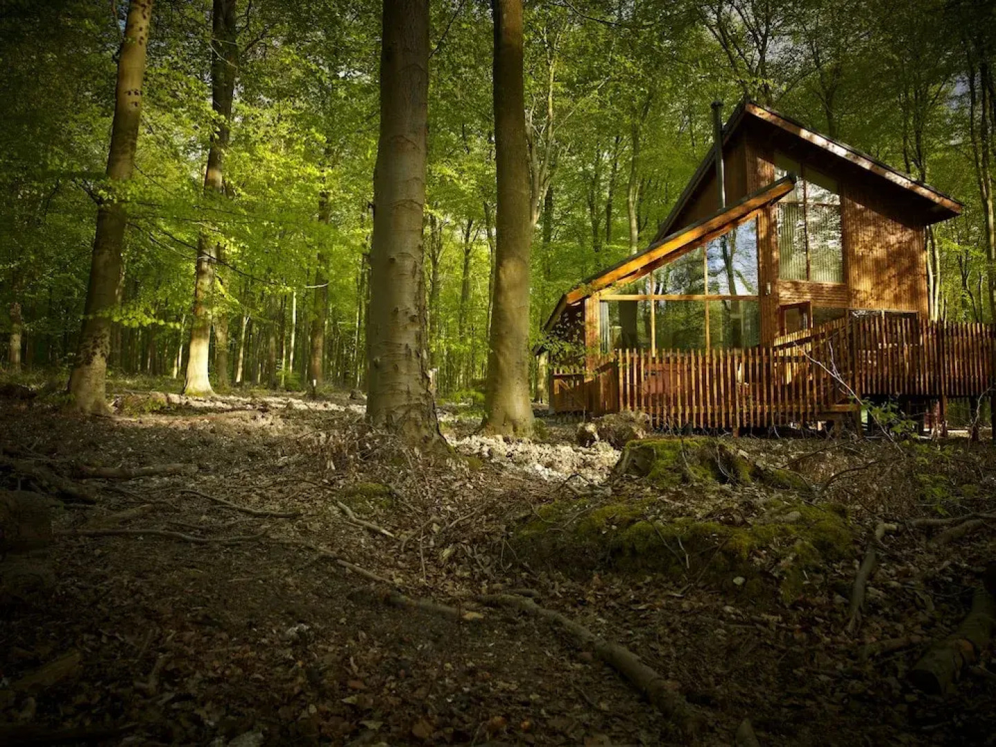 Forest Holidays Blackwood Forest