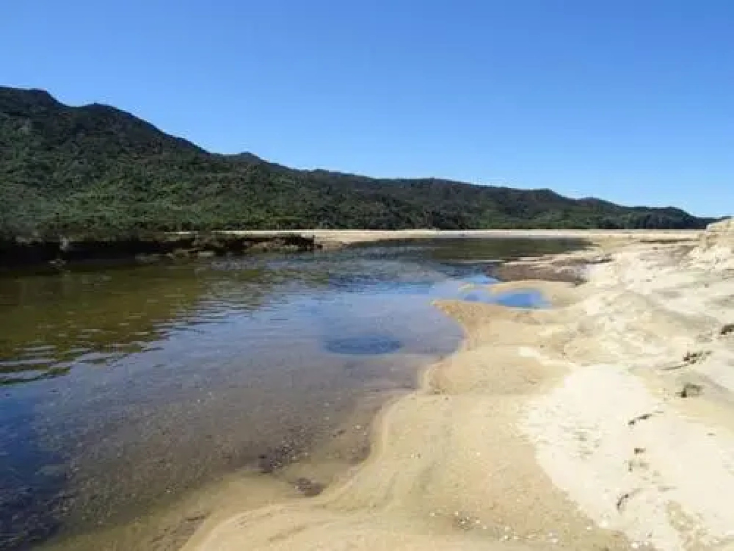 Buena Vista Apartment