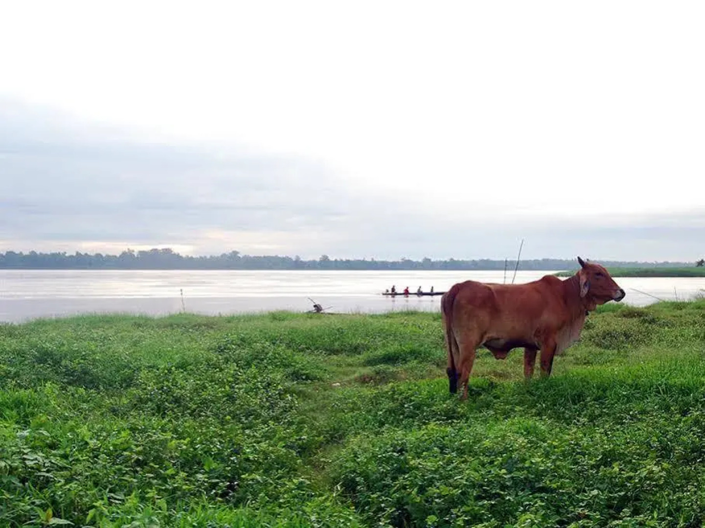 Bann Rim khong Resort