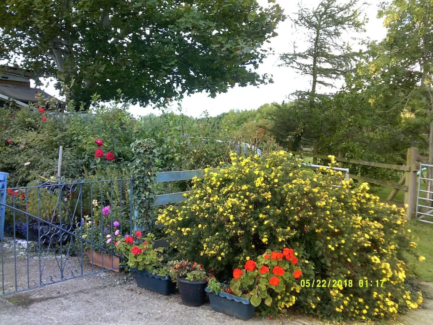 Plas Llangaffo Farmhouse