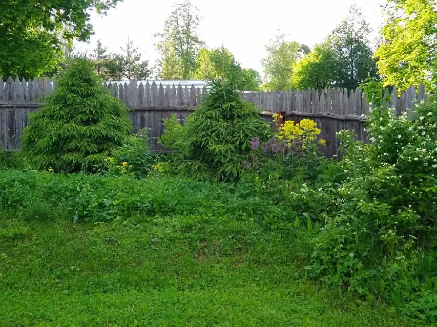 Guesthouse Puzhalova Izba