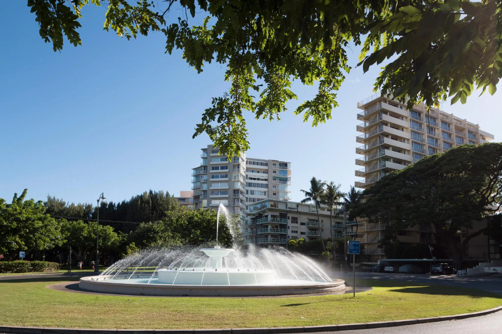 Lotus Honolulu at Diamond Head