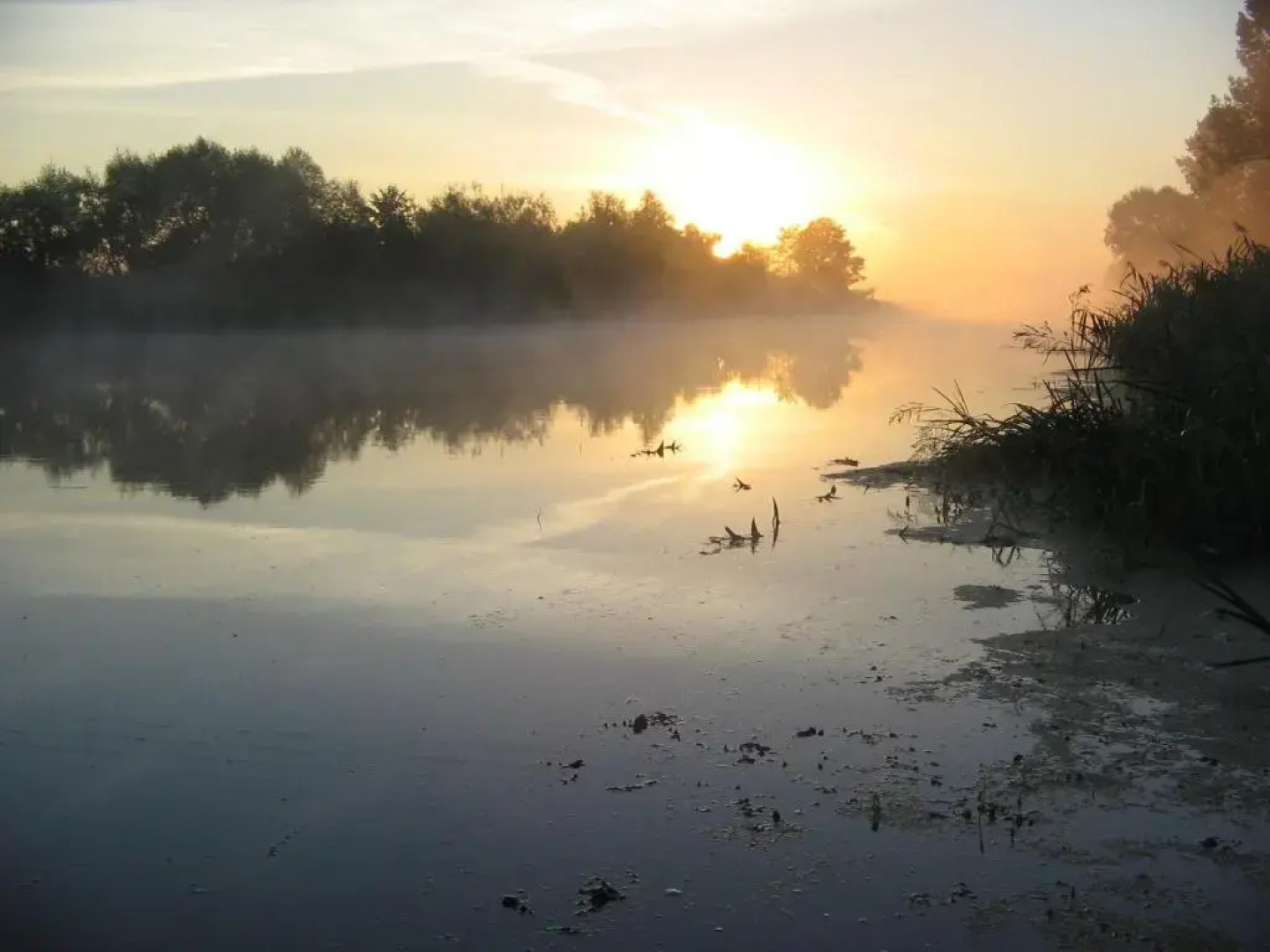 Dom pod czarnym bocianem