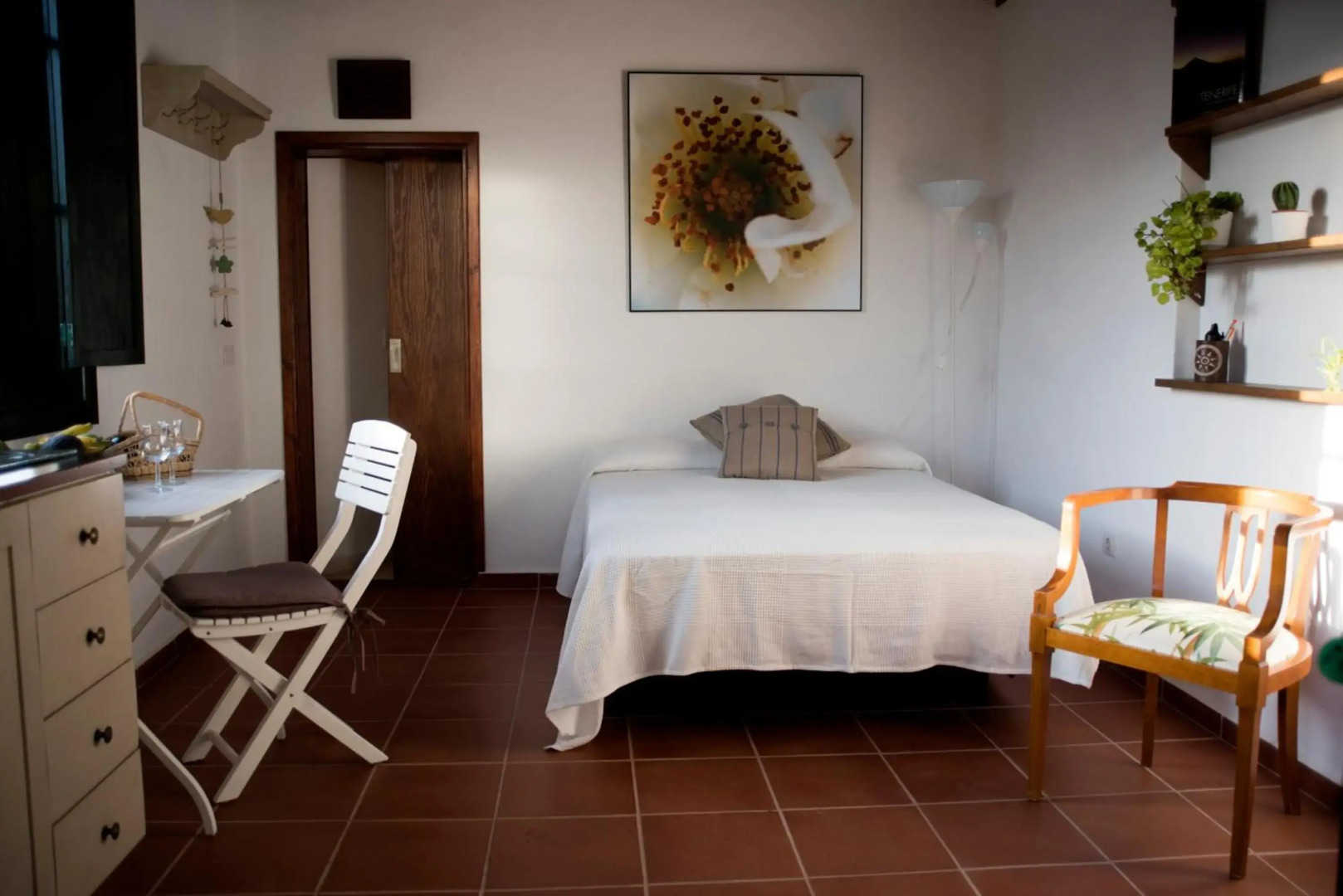 FINCA LA PLANTACIÓN _Agroturismo