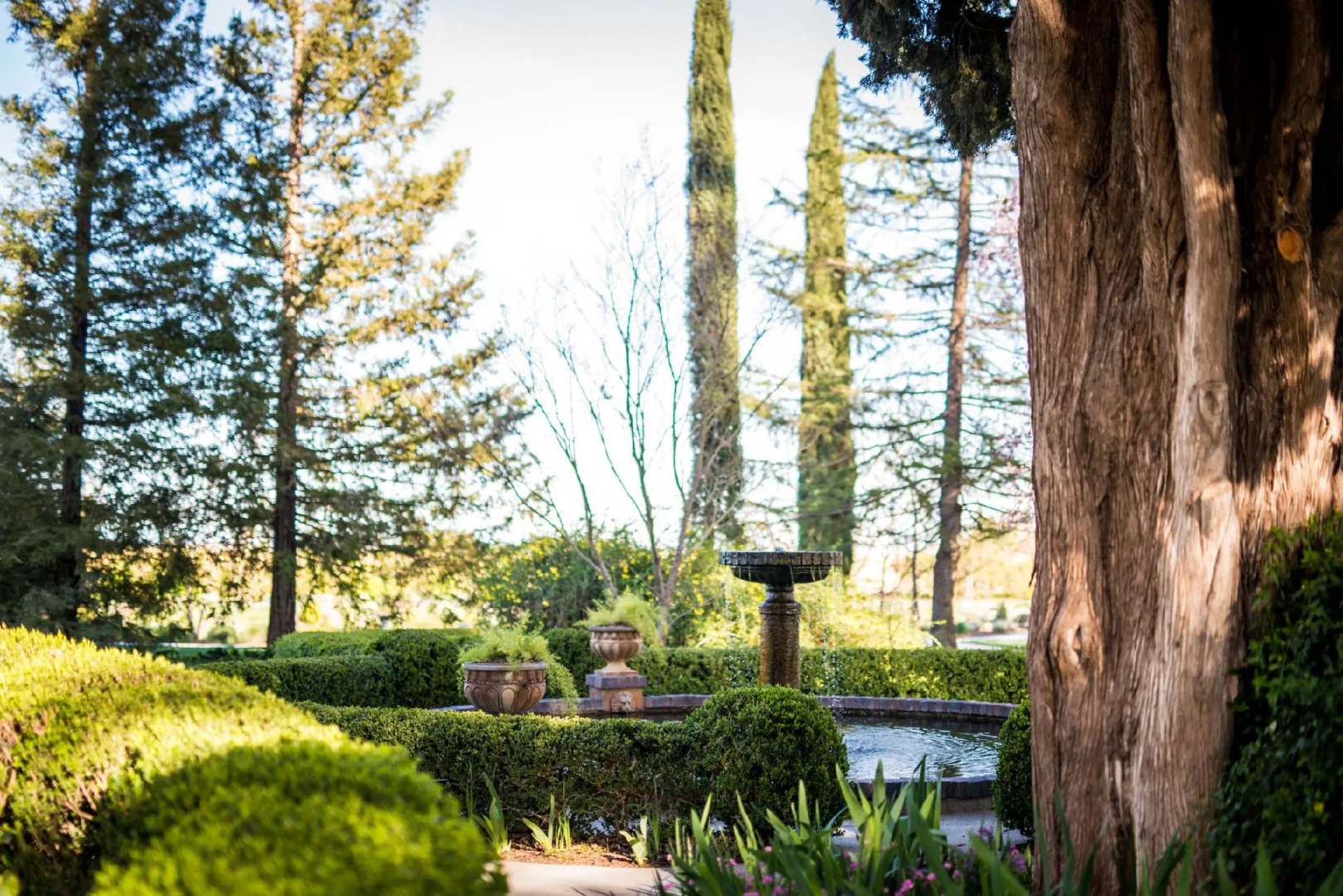 The Inn at Park Winters