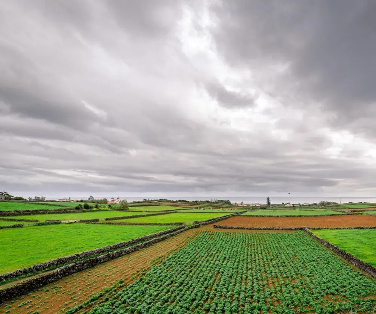 Casa dos Cal os- Anexo 1